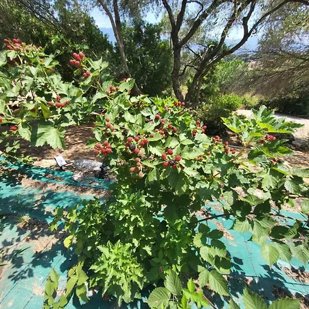 De Aux Portes D'ajaccio * Alata