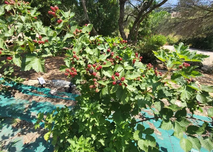 De Aux Portes D'ajaccio * Alata